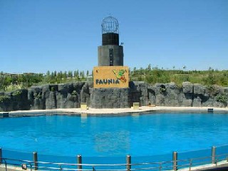 Faunia Madrid activity pool