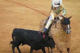 Madrid bullfight picadillos