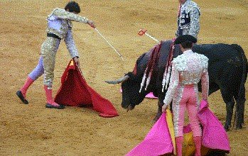 Madrid bullfight the kill